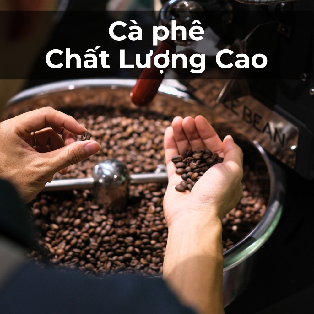The Little Bean Coffee  – ảnh 3